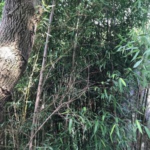 Meet your Posher, Sean